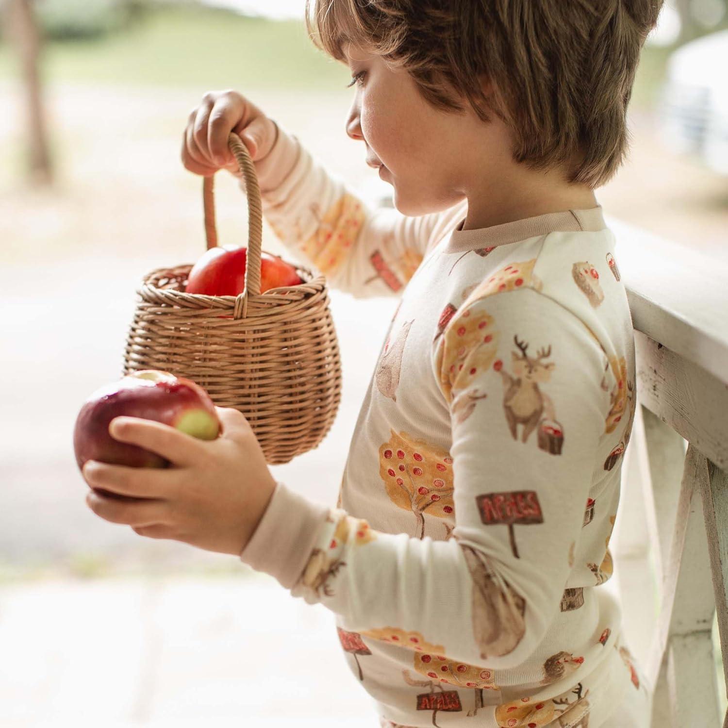 imageBurts Bees Baby Boys 2Piece Long Sleeve Tee and Pants Organic Cotton Pajama SetApple Season