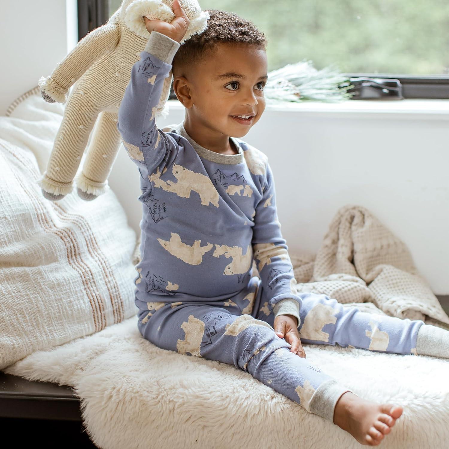 imageBurts Bees Baby Boys 2Piece Long Sleeve Tee and Pants Organic Cotton Pajama SetPolar Mountain Blue