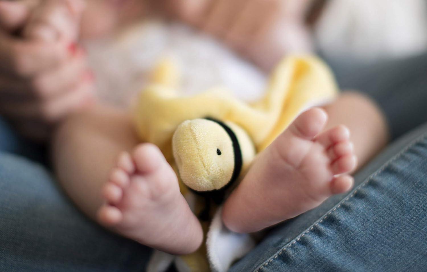 imageBurts Bees Baby Baby Plush Toy Lovey Hold Me Bee Stuffed Security Blanket Infants Comfort Object Made with Organic Velour Shell with Polyester Sunshine Color Size 12x12x3 InchesBee Lovey