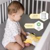 imageBurts Bees Baby  Fitted Crib Sheet Girls Boys ampamp Unisex 100 Organic Cotton Crib Sheet for Standard Crib ampamp Toddler Mattresses Pack of 2Blossom Buffalo Check