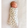 imageBurts Bees Baby  Swaddles Muslin Cotton Baby Blankets 3Pack Multipurpose Lightweight ampamp Breathable 100 Organic CottonBreezy Palms
