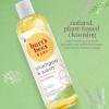 imageBurts Bees Baby Shampoo ampamp Wash Tear Free Soap Baby Care Original12 Ounce Pack of 312 Fl Oz Pack of 3