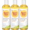 imageBurts Bees Baby Shampoo ampamp Wash Tear Free Soap Baby Care Original12 Ounce Pack of 312 Fl Oz Pack of 3