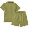 imageBurts Bees Baby babyboys Short Sleeve Shirt and Pant Set Top ampamp Bottom Outfit 100 Organic CottonIguana Polo Set