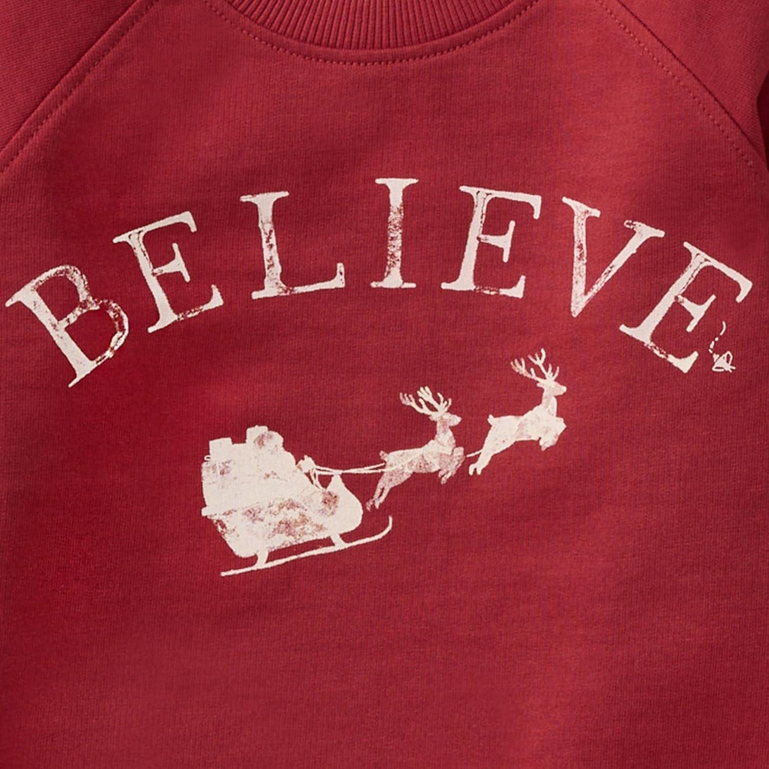 imageBurts Bees Baby unisexbaby Sweatshirt Lightweight Pull Over Sweater Organic Cotton Layering EssentialBelieve Sweatshirt