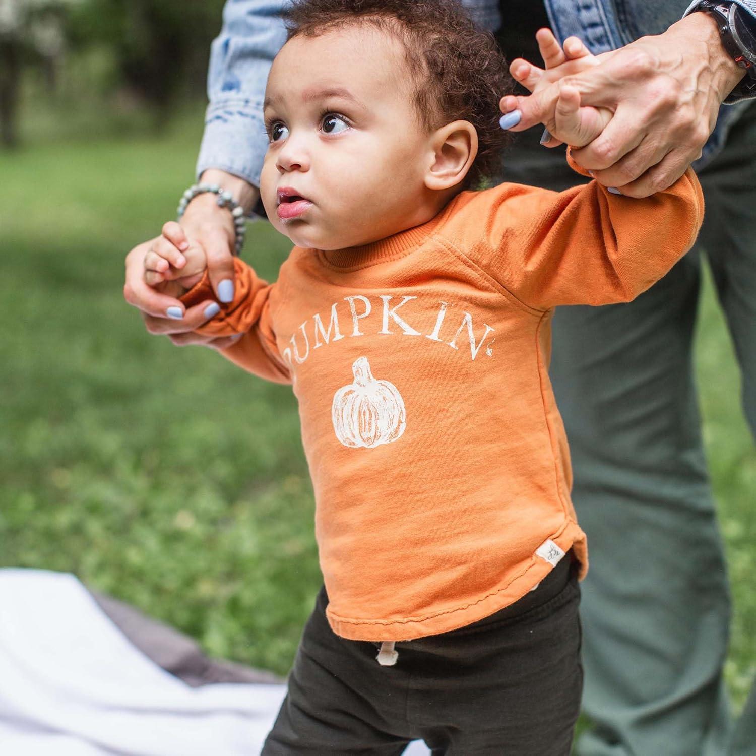 imageBurts Bees Baby unisexbaby Sweatshirt Lightweight Pull Over Sweater Organic Cotton Layering EssentialPumpkin Sweatshirt