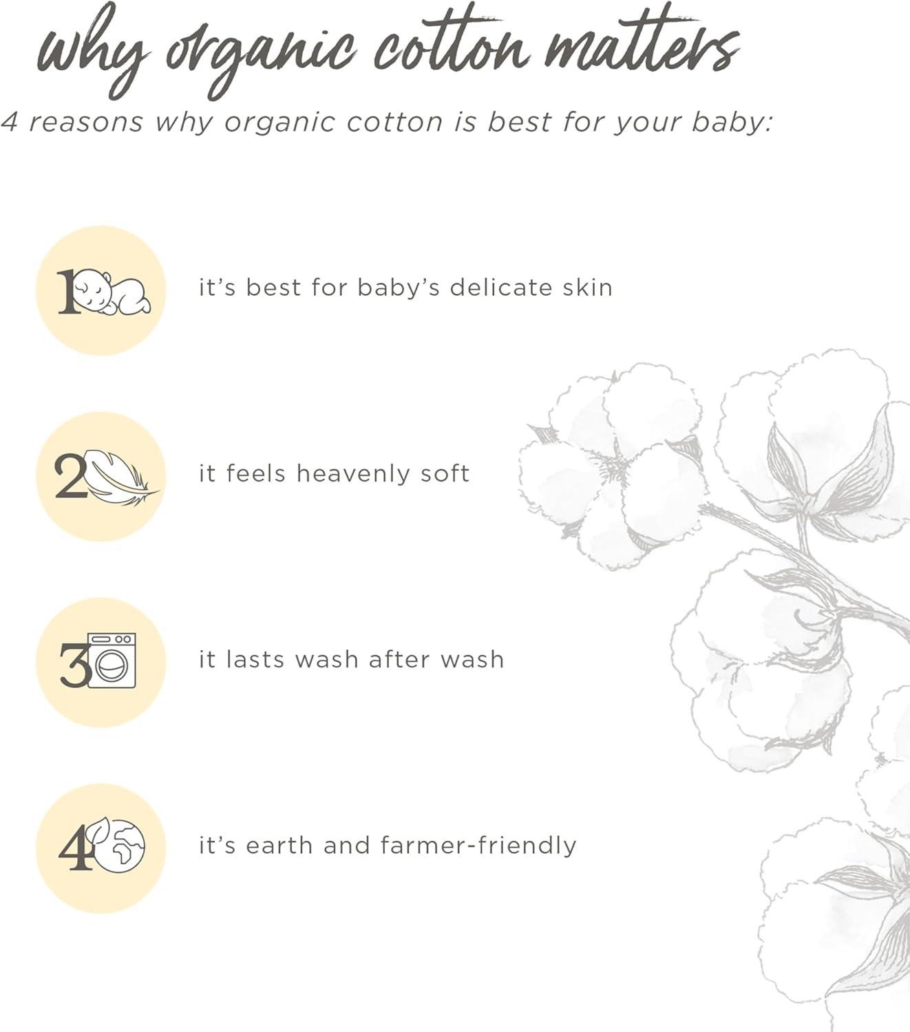 imageBurts Bees Baby and Family Matching Holiday Organic Cotton PajamasFootball