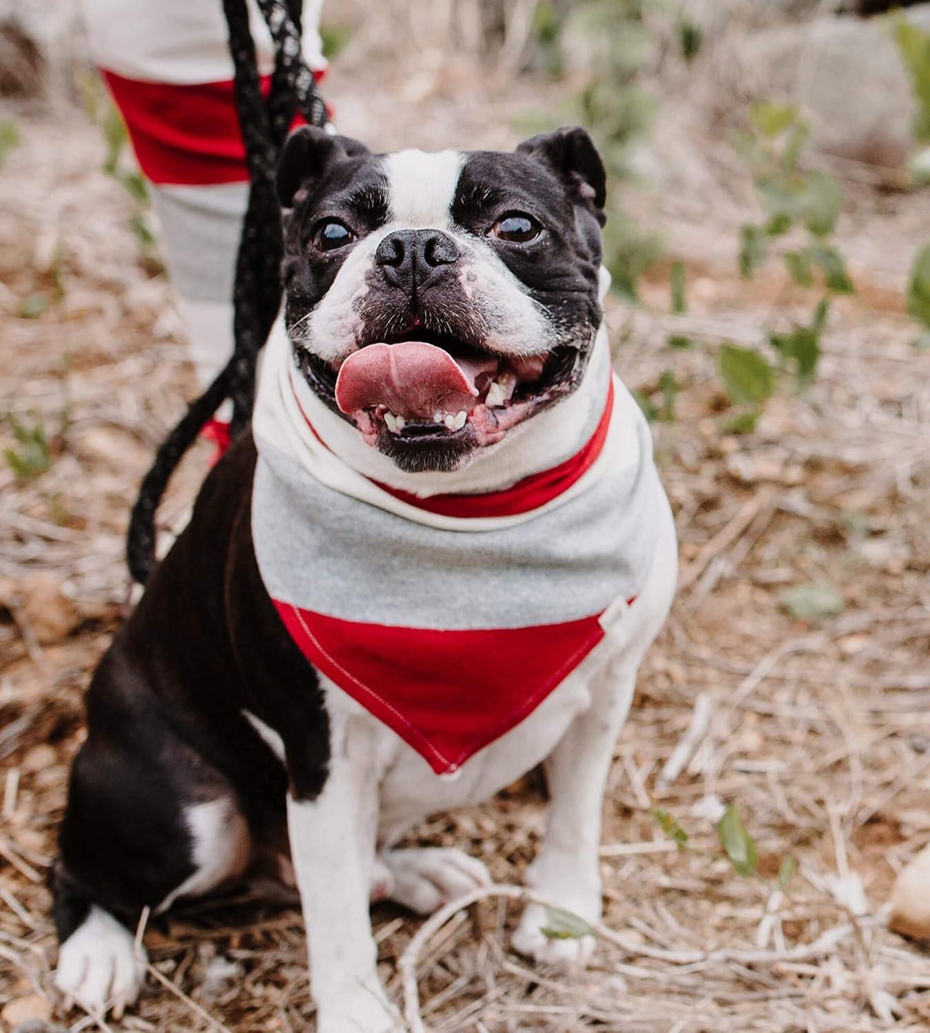 imageBurts Bees Baby and Family Matching Holiday Organic Cotton PajamasJumbo Multi Stripe