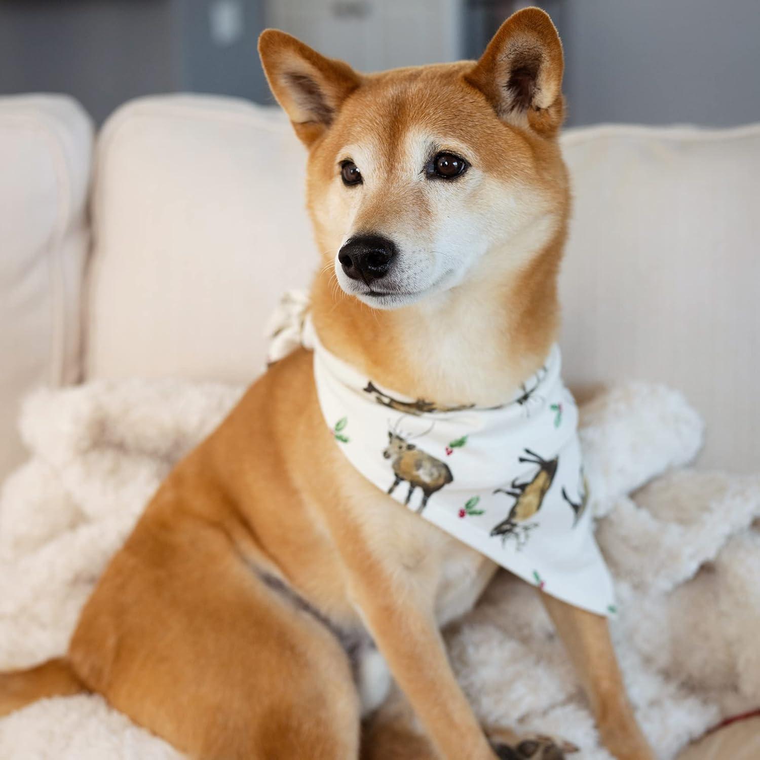 imageBurts Bees Baby and Family Matching Holiday Organic Cotton PajamasNorthern Reindeer