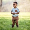 image:imageBurts Bees Baby Baby Boys Short Sleeve Shirt and Pant Set Top amp Bottom Outfit Bundle 100 Organic CottonStacked Farm Animals