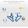 image:imageBurts Bees Baby Boys Underwear Set  Breathable 100 Organic Cotton Undies Pack of 5 for Toddler 2T to 8 Years OldSpace Shuttles