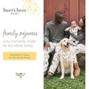 image:imageBurts Bees Baby Matching Family Jammies Organic Cotton Holiday Pajamas for Kids Adults amp Pets Perfect for Family PhotosGhosts in the Night